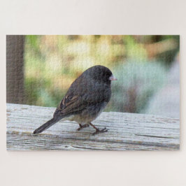 Puzzle Junco Ojos Oscuros