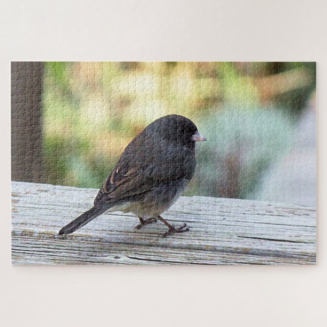 Puzzle Junco Ojos Oscuros (Horizontal)