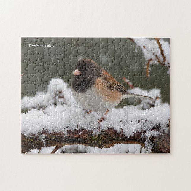 Puzzle Junco Sparrow Songbird de ojos oscuros en la cerca (Horizontal)