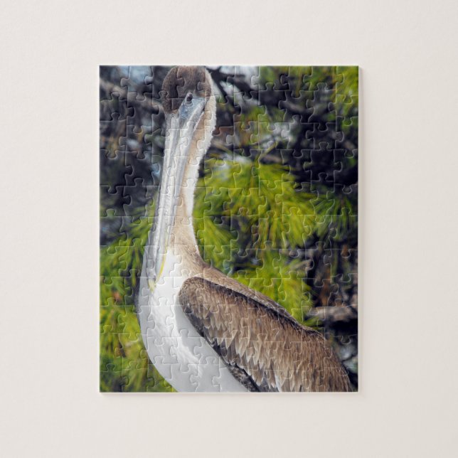 Puzzle Juvenile Brown Pelican (Vertical)