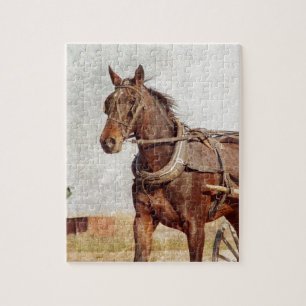 Puzzle Kalona, Caballo Iowa Amish y Buggy
