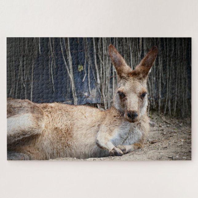 Puzzle Kangaroo (Horizontal)