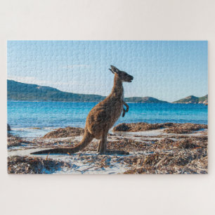 Puzzle Kangaroo en la playa de Lucky Bay, 1014 piezas