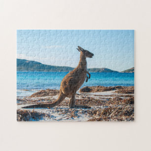 Puzzle Kangaroo en la playa de Lucky Bay, 252 piezas