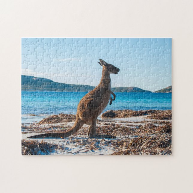 Puzzle Kangaroo en la playa de Lucky Bay, 252 piezas (Horizontal)