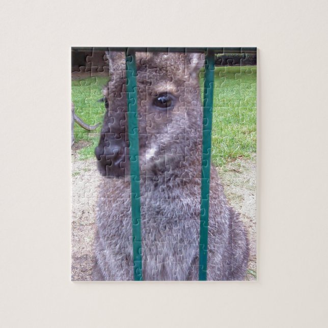 Puzzle Kangaroo tras las rejas (Vertical)
