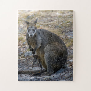 Puzzle Kangaroo Wallaby y el bebé Joey Easy Kids