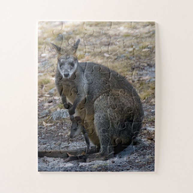 Puzzle Kangaroo Wallaby y el bebé Joey Easy Kids (Vertical)