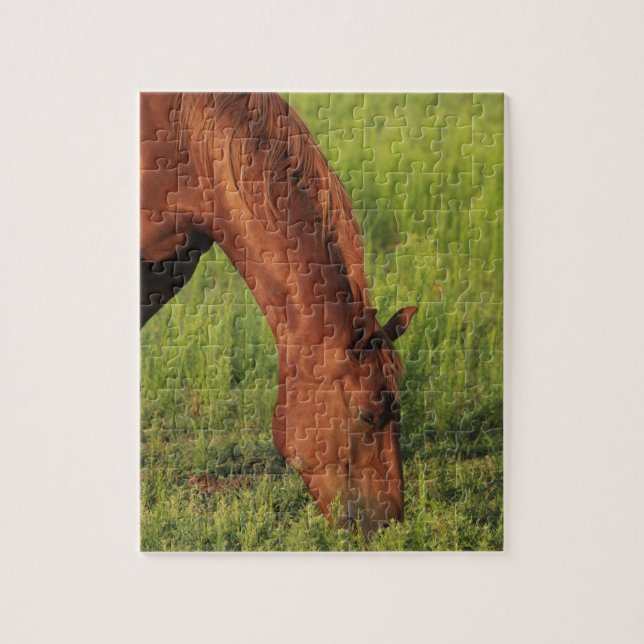 Puzzle Kansas Red Horse (Vertical)