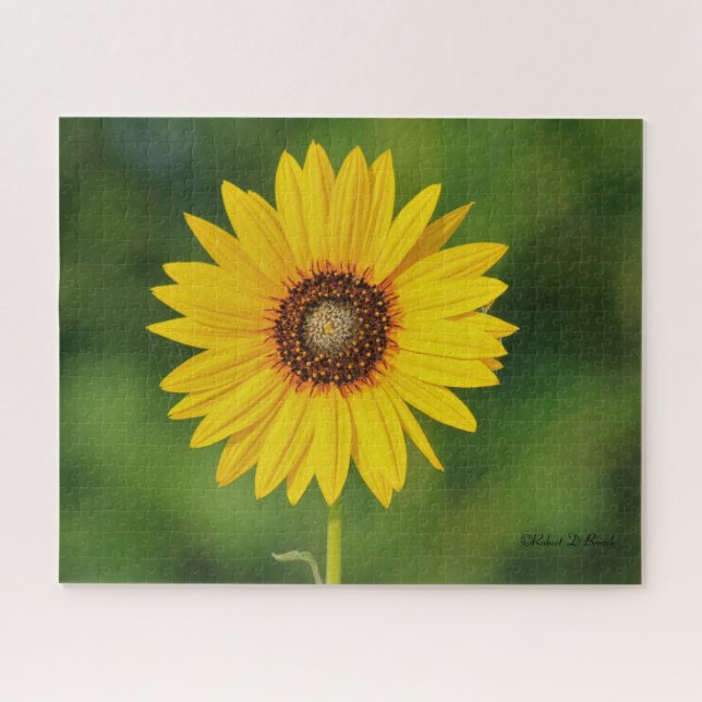 Puzzle Kansas Sunflower (Horizontal)