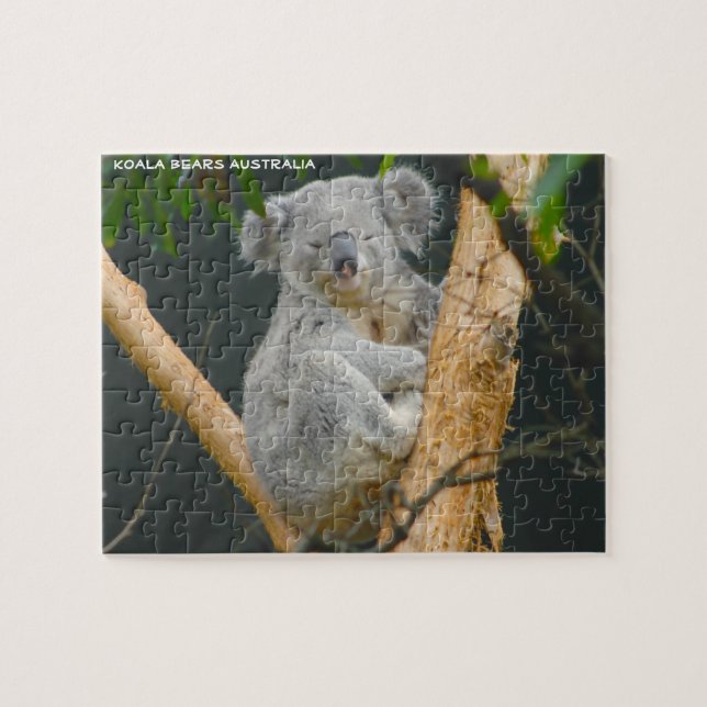 Puzzle Kaola Bears Australia (Horizontal)