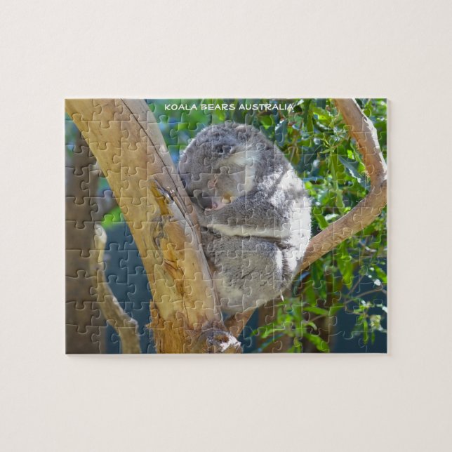 Puzzle Kaola Bears Australia (Horizontal)