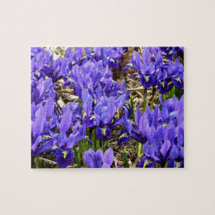 Puzzle Katherine Hodgkin Iris Purple Spring Floral