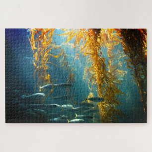 Puzzle Kelp