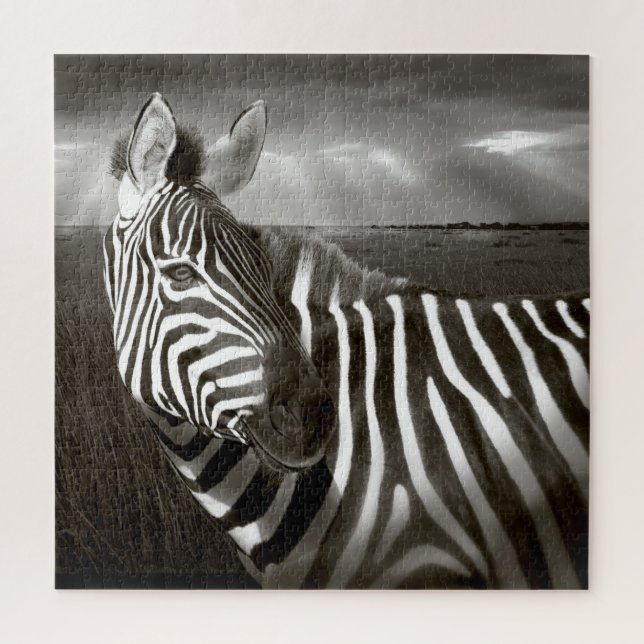 Puzzle Kenia. Blanco y negro de cebra y llanura. (Vertical)