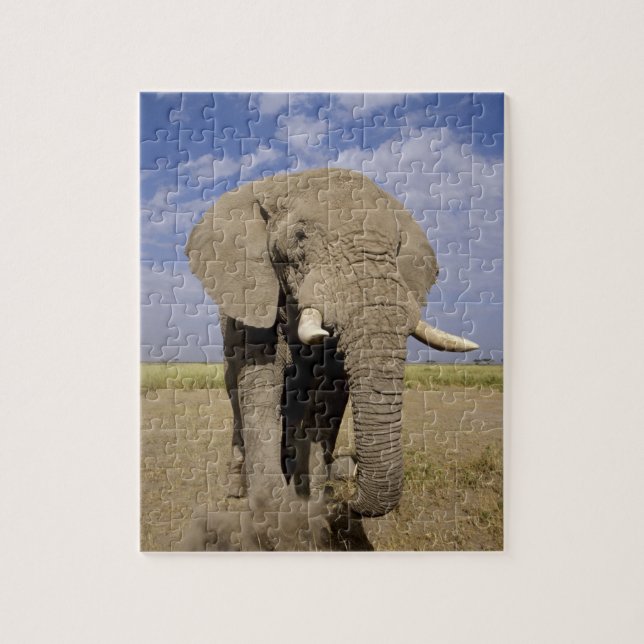 Puzzle Kenia: Parque Nacional Amboseli, elefante macho (Vertical)