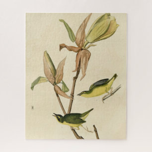 Puzzle Kentucky Warbler de Aves de América de Audubon