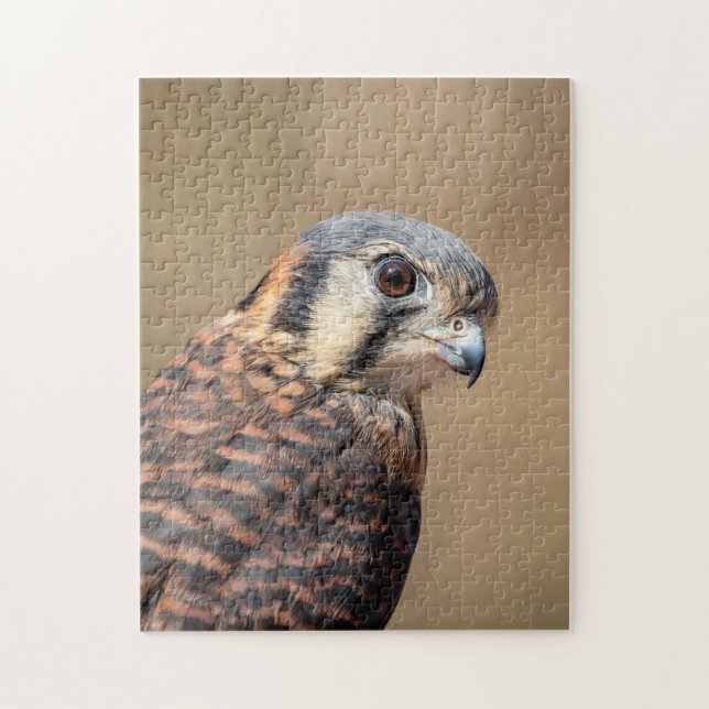 Puzzle Kestrel americano (Vertical)