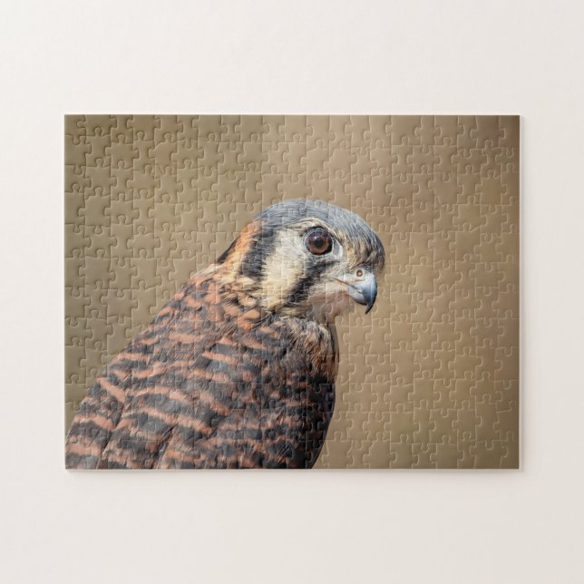 Puzzle Kestrel americano (Horizontal)