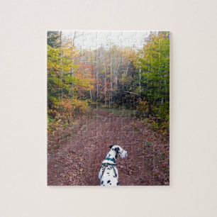 Puzzle Kevin el Dalmatian