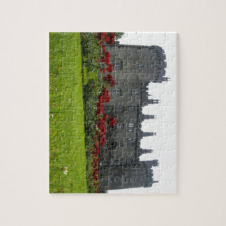 Puzzle Kilkenny Castle, Ireland