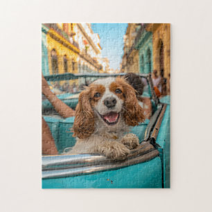 Puzzle King Charles Cocker Spaniel se toma selfies en Cub