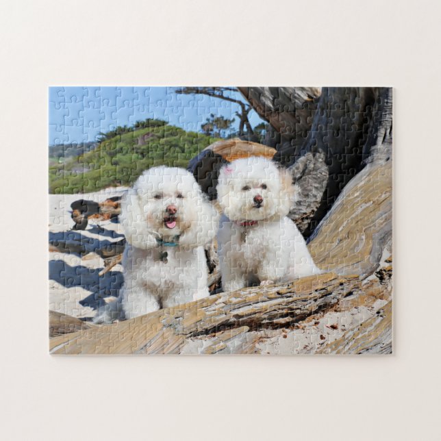 Puzzle Kirby Shelby - caniches en la playa de Carmel (Horizontal)