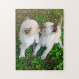 Puzzle kissing kittens