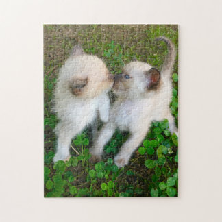 Puzzle kissing kittens in clover