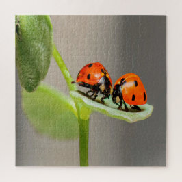 Puzzle Kissing Ladybugs