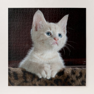 Puzzle Kitten blanco ojos azules