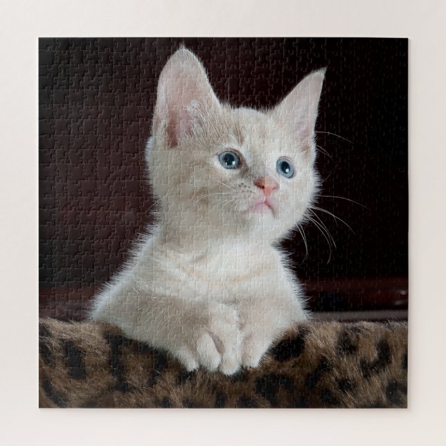 Puzzle Kitten blanco ojos azules (Vertical)