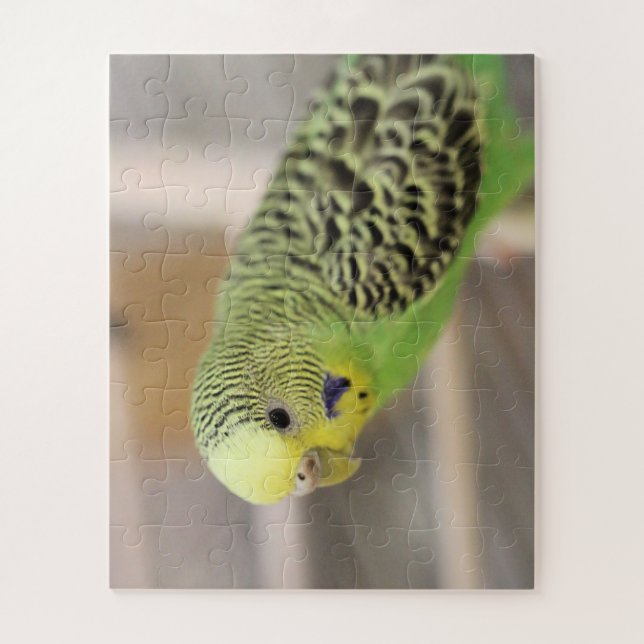 Puzzle Kiwi (Vertical)