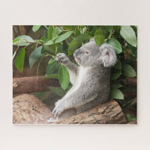Puzzle Koala Bear