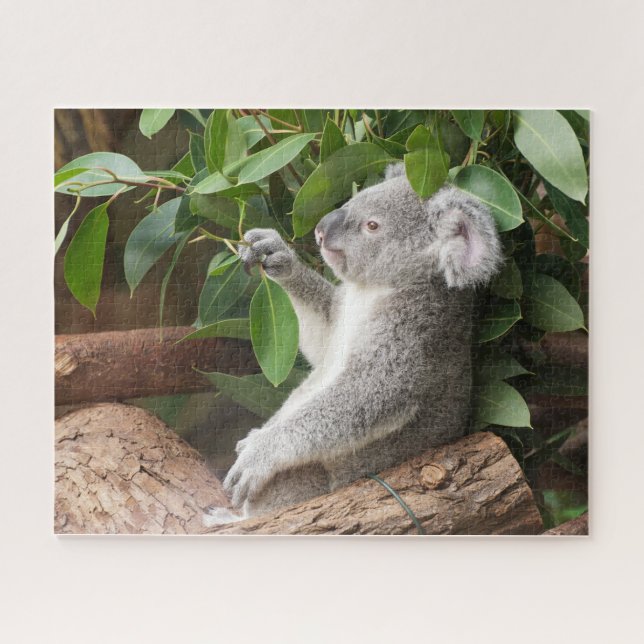 Puzzle Koala Bear (Horizontal)