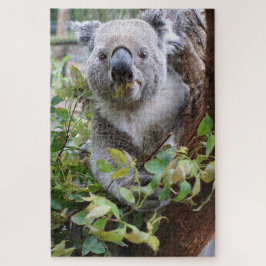 Puzzle Koala Bear