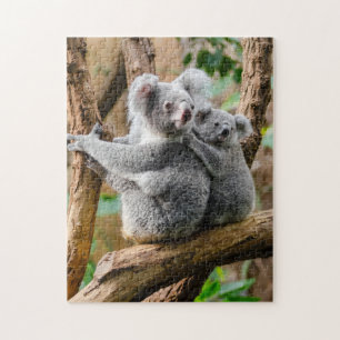 Puzzle Koala con un bebé en un árbol en Australia