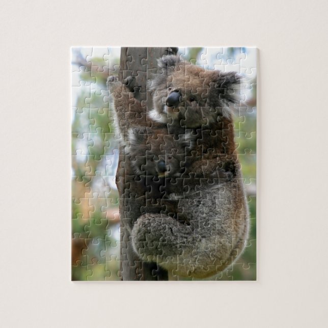 Puzzle Koala de la mamá y del bebé (Vertical)
