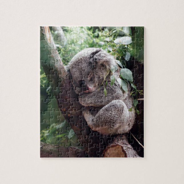 Puzzle Koala del bebé el dormir (Vertical)