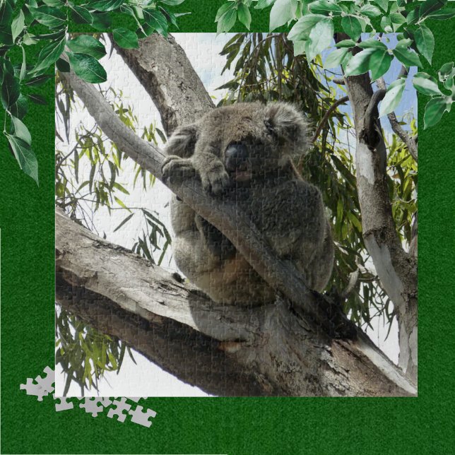 Puzzle Koala - Dormido (Subido por el creador)