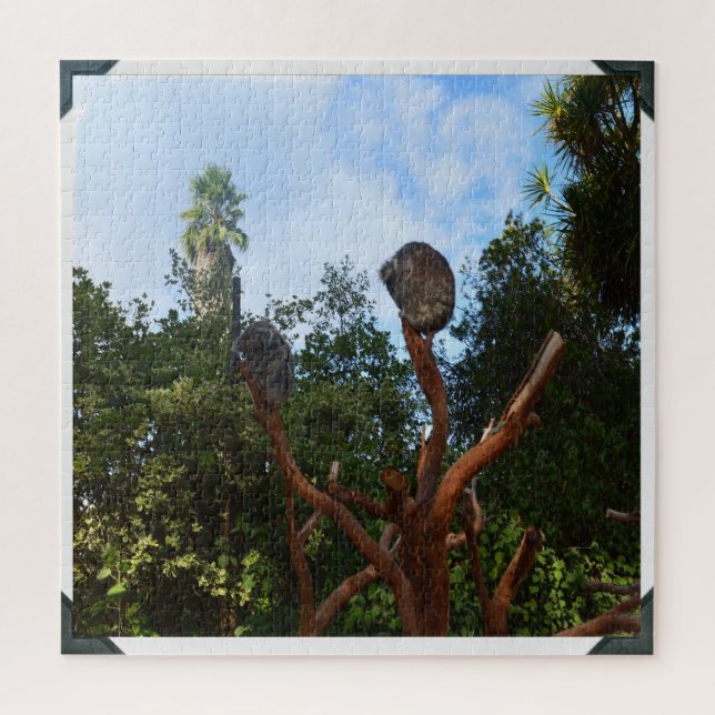 Puzzle Koala Duerme En Árboles, (Vertical)