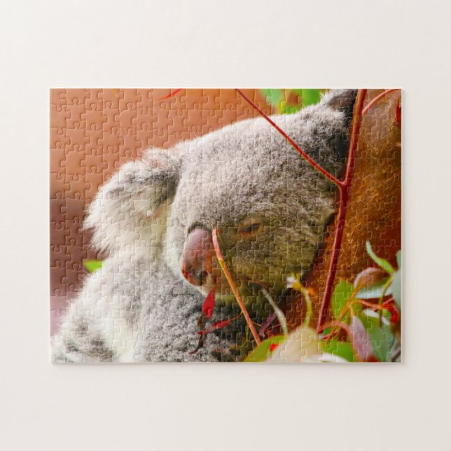 Puzzle Koala Osos. (Horizontal)