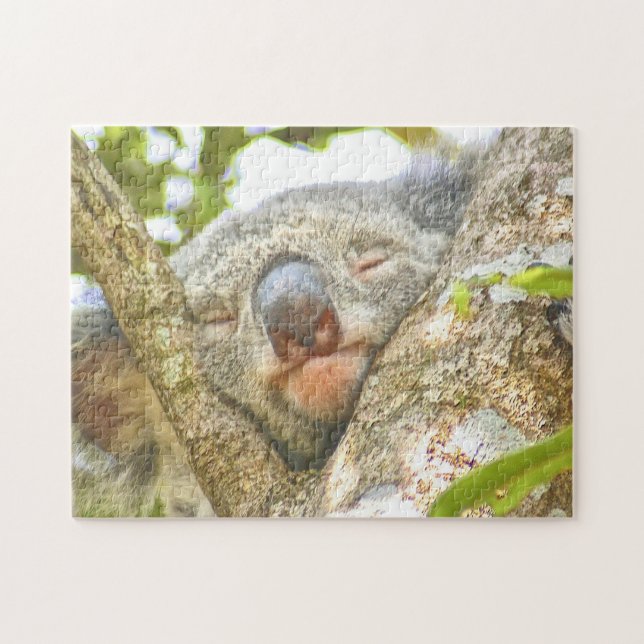 Puzzle Koala Sleeping (Horizontal)