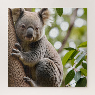 Puzzle Koala subiendo un árbol