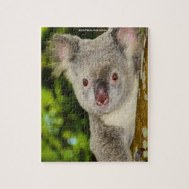 Puzzle Koalas australianas (Vertical)