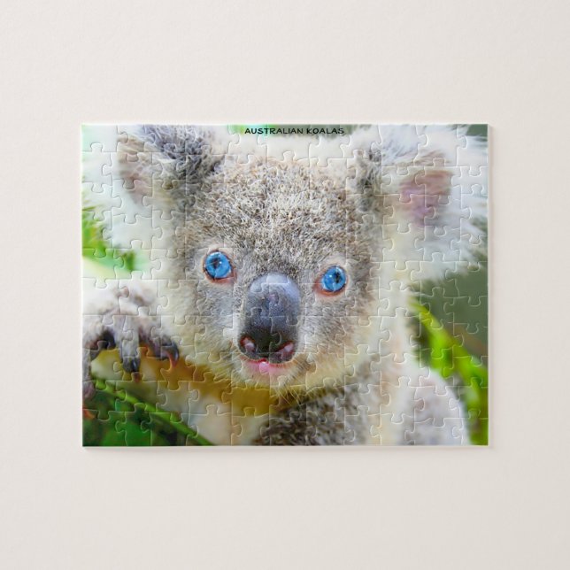 Puzzle Koalas australianos (Horizontal)