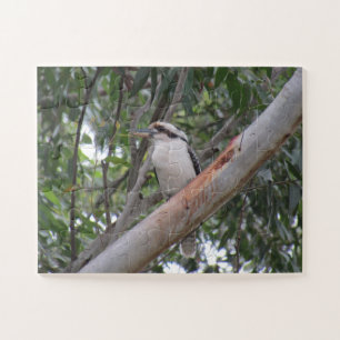 Puzzle kookaburra