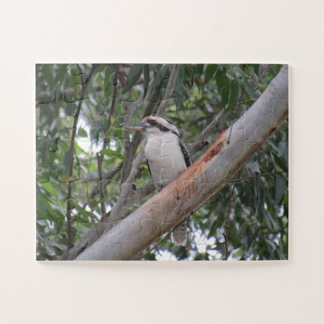 Puzzle kookaburra (Horizontal)