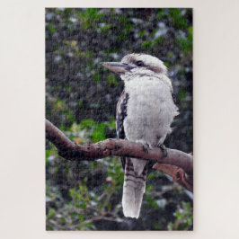 Puzzle Kookaburra