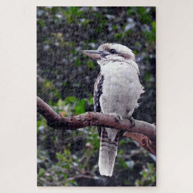 Puzzle Kookaburra (Vertical)